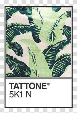 Pantone s, white background with Tattone K N text overlay transparent background PNG clipart