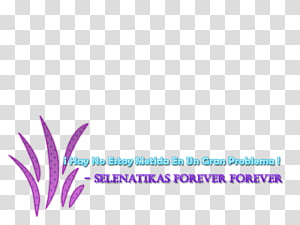 Texto selena gomez transparent background PNG clipart thumbnail