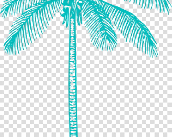 Coconut Leaf Drawing, Palm Trees, Sticker, Blue, Green, Arecales, Turquoise, Woody Plant transparent background PNG clipart