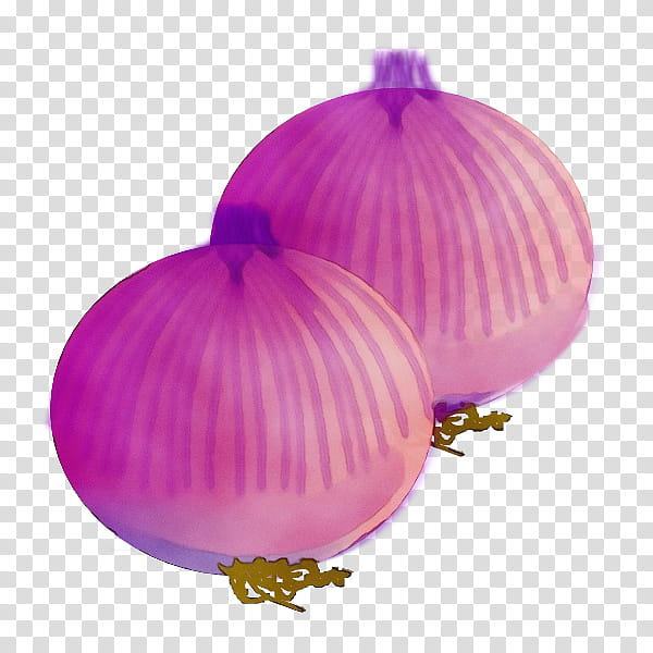 onion purple violet pink red onion, Watercolor, Paint, Wet Ink, Allium, Magenta, Plant, Vegetable transparent background PNG clipart