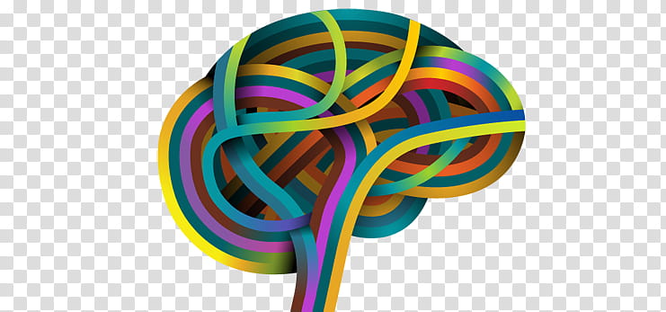 Cartoon Brain, Human Brain, Mind, Default Mode Network, Neuroscience, Human Body, Visual Perception, Behavior transparent background PNG clipart