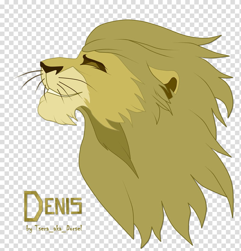 Cat And Dog, Whiskers, Lion, Character, Cartoon, Face, Nose, Head transparent background PNG clipart