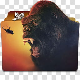 Kong Skull Island  Folder Icon , Kong Skull Island v_x transparent background PNG clipart