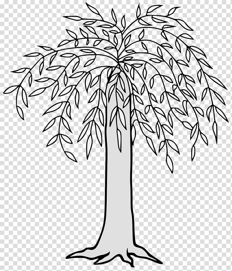 Weeping Willow Tree Drawing, Twig, Line Art, Leaf, Visual Arts, Branch, Root, Woody Plant transparent background PNG clipart