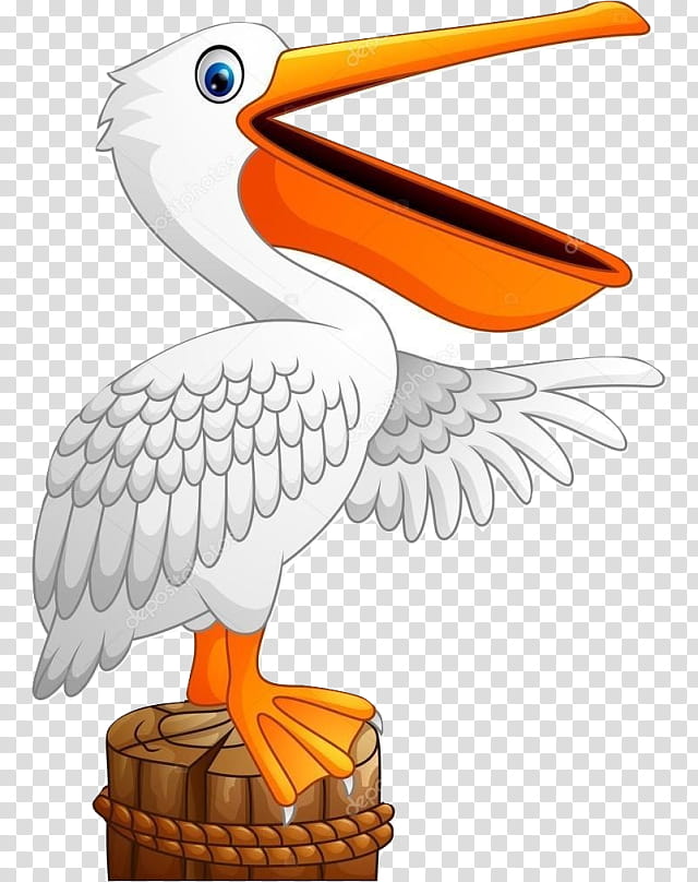Cartoon Bird, Pelican, Beak, Wing, Seabird transparent background PNG clipart