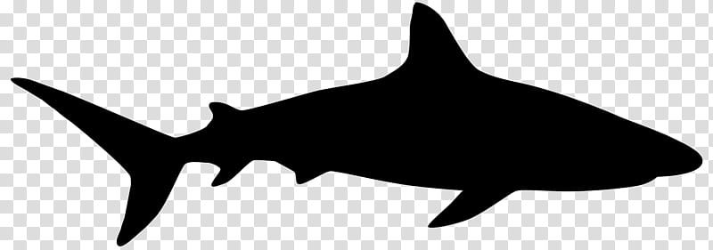 Shark Fin, Silhouette, Tiger Shark, Logo, Blacktip Shark, Fish, Cartilaginous Fish, Cretoxyrhina transparent background PNG clipart