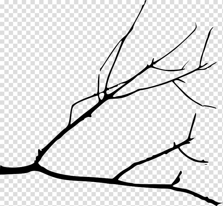 Book Black And White, Branch, Drawing, Tree, Silhouette, Twig, Wood, Fruit Tree transparent background PNG clipart