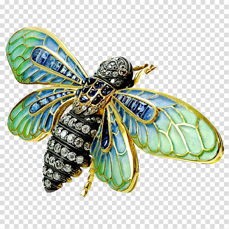 Insect Jewelry s, black, blue, and green insect transparent background PNG clipart