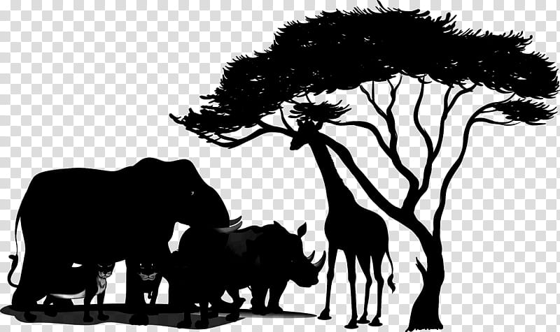 African Tree Silhouette, Moose, Sunset, Alamy, Wildlife, African Elephant, Indian Elephant, Blackandwhite transparent background PNG clipart