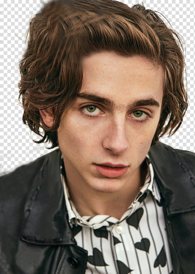 Timothee Chalamet, man in black leather jacket transparent background PNG clipart