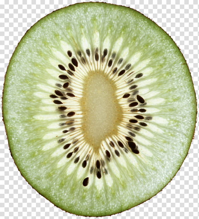 Fruit, Kiwifruit, Vegetarian Cuisine, Food, Computer Software, Actinidia Deliciosa transparent background PNG clipart