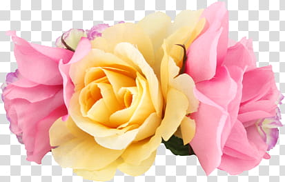 Download Pink And Yellow Flowers Png | PNG & GIF BASE
