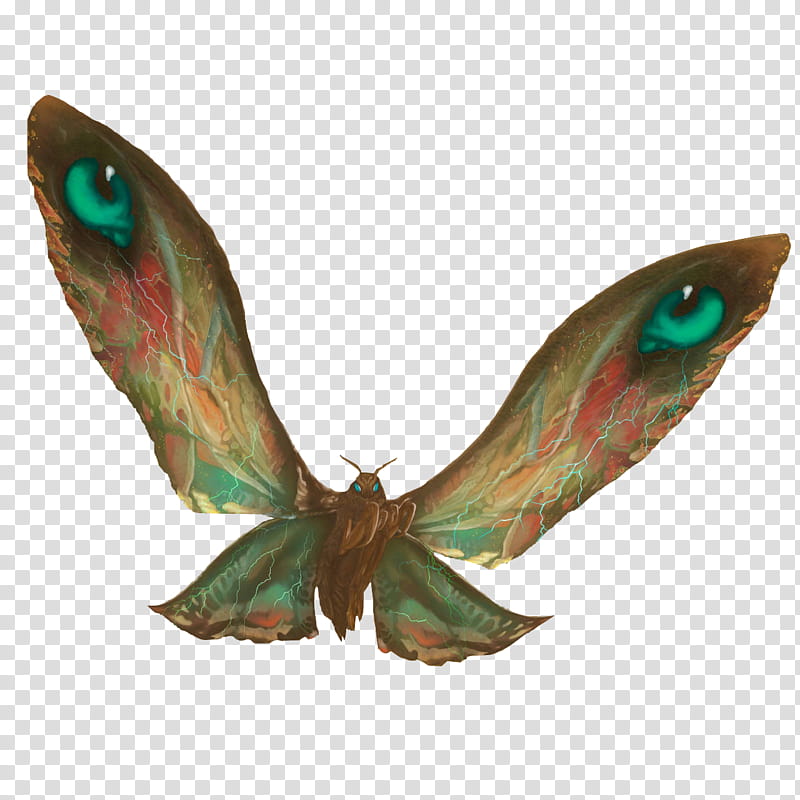 Mothra  Render  transparent background PNG clipart