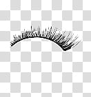 eye lashes transparent background PNG clipart