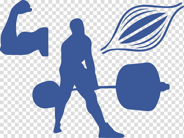graphy Logo, Powerlifting, Squat, Fotolia, Olympic Weightlifting, Bodybuilding, Physical Fitness, Muscle transparent background PNG clipart