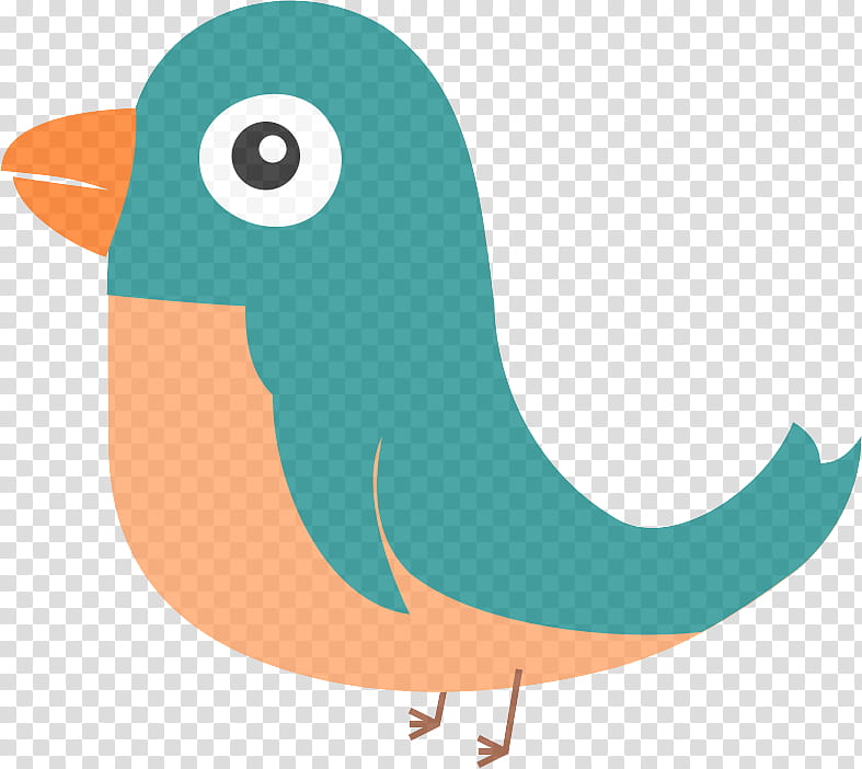 bird beak pigeons and doves perching bird, Tail transparent background PNG clipart