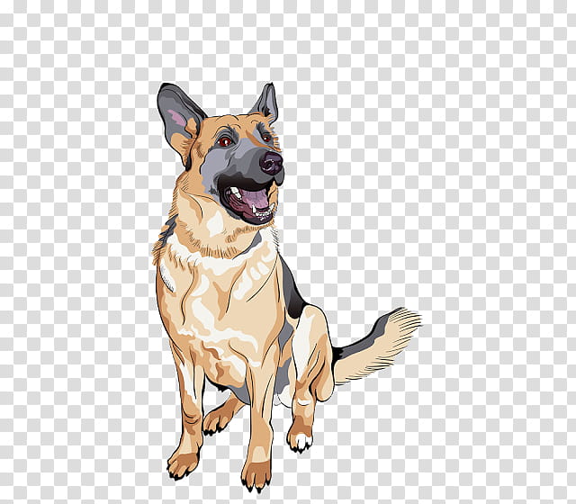 Golden Retriever, German Shepherd, Puppy, Purebred Dog, Cartoon, Pet, German Shepherd Dog, Police Dog transparent background PNG clipart