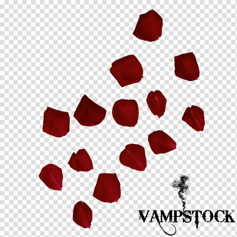 Rose Petal  Vamp, red petals illustration transparent background PNG clipart