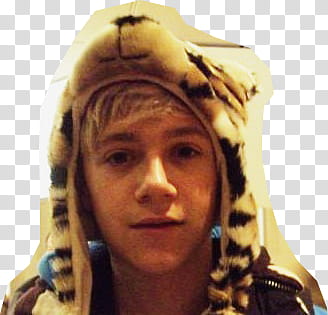 Niall Horan transparent background PNG clipart