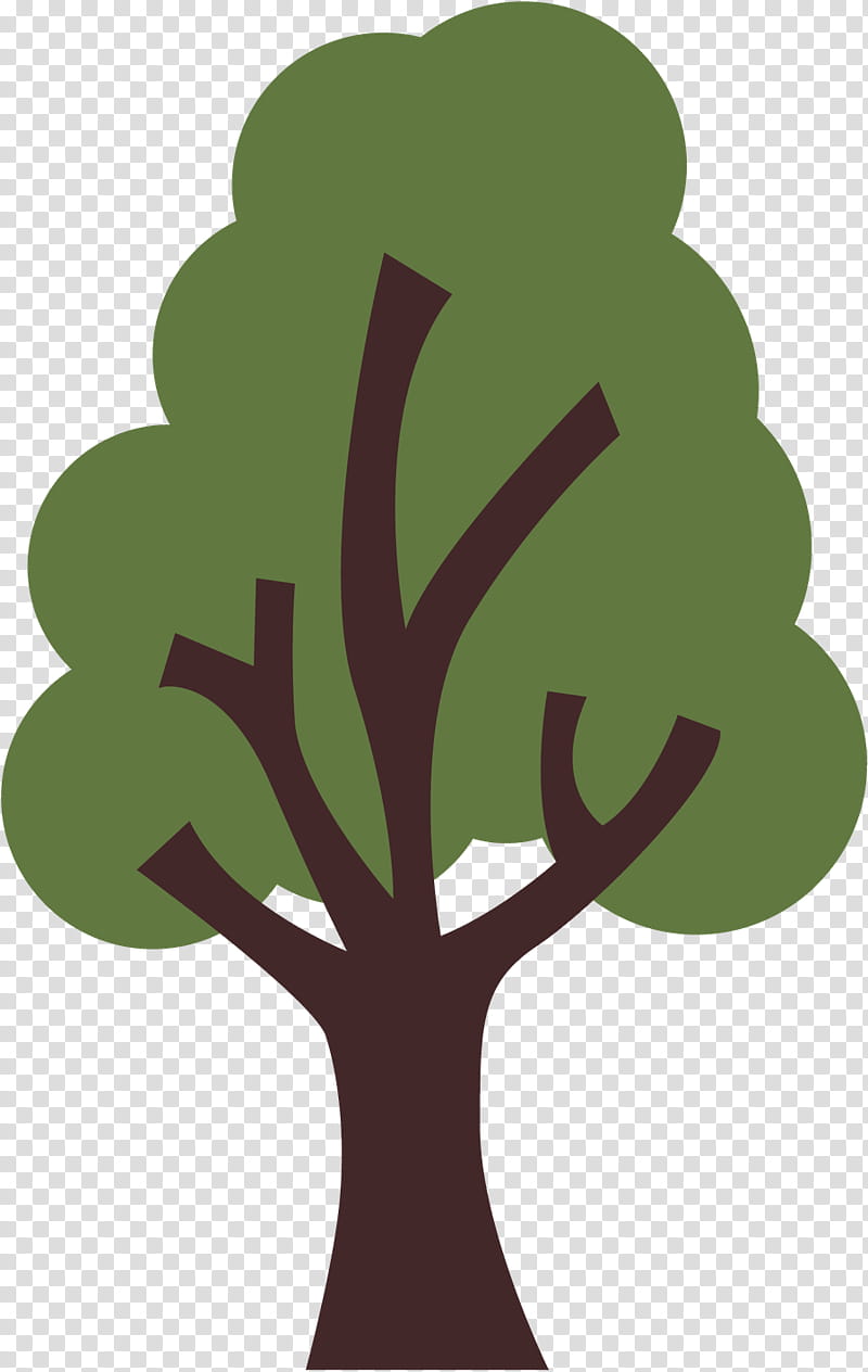 Oak Tree Drawing, Branch, Paper, Shrub, Leaf, Fir, Christmas Tree, Pine transparent background PNG clipart