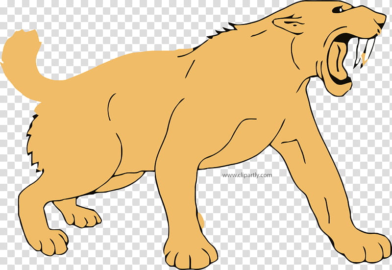 Dog And Cat, Sabertooth, Tiger, Sabertoothed Tiger, Sabretooth Tiger, Sabertoothed Cat, Drawing, Lion transparent background PNG clipart