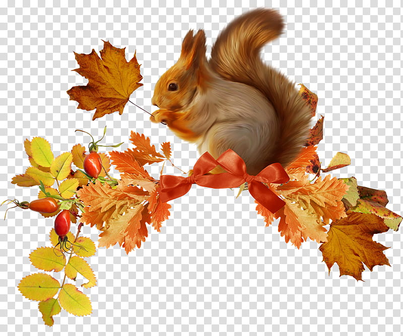 Autumn Leaf Drawing, Squirrel, Chipmunk, Tree Squirrel, Mathematics, Jigsaw Puzzles, Cartoon, Branch transparent background PNG clipart