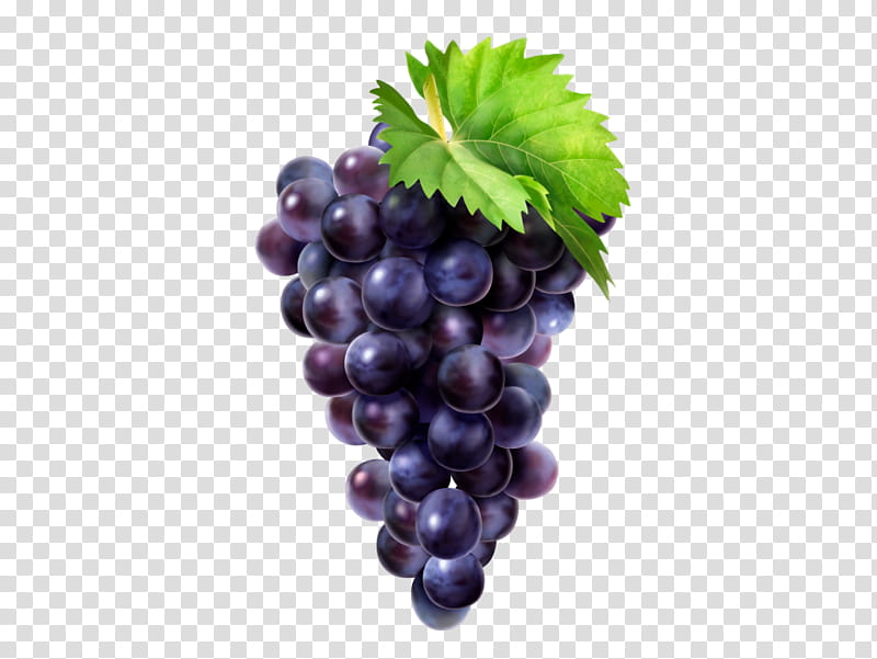 Leaves, Common Grape Vine, Zante Currant, Concord Grape, Juice, Grape Leaves, Grapevines, Fruit transparent background PNG clipart