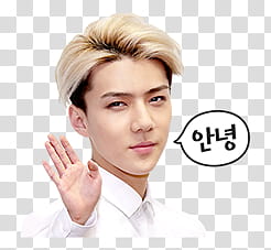 sticker EXO SEHUN Special, man's face transparent background PNG clipart