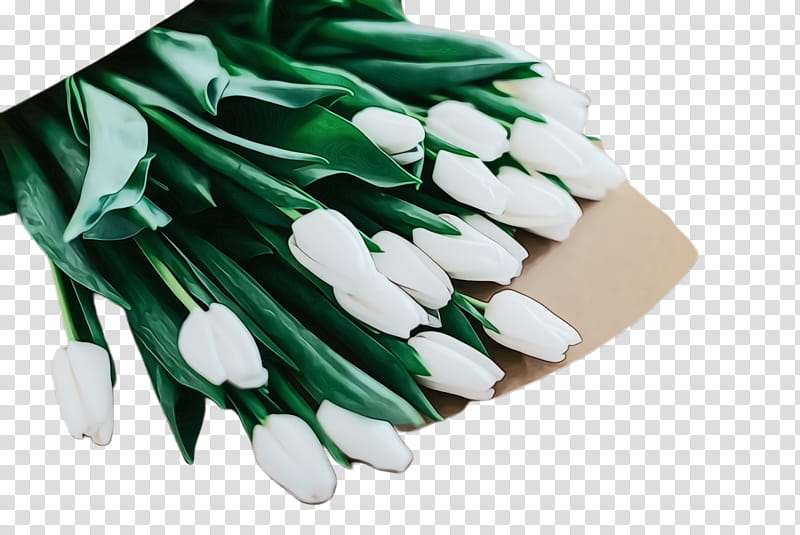 White Lily Flower, Tulip, Flora, Blossom, Floristry, Flower Bouquet, Floral Design, Petal transparent background PNG clipart