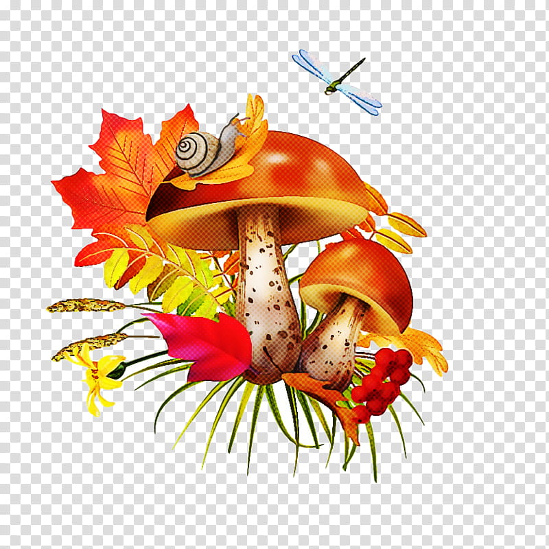 mushroom hermit crab transparent background PNG clipart