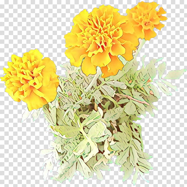 flower tagetes yellow english marigold plant, Cartoon, Tagetes Patula, Cut Flowers, Flowering Plant, Petal, Zinnia transparent background PNG clipart