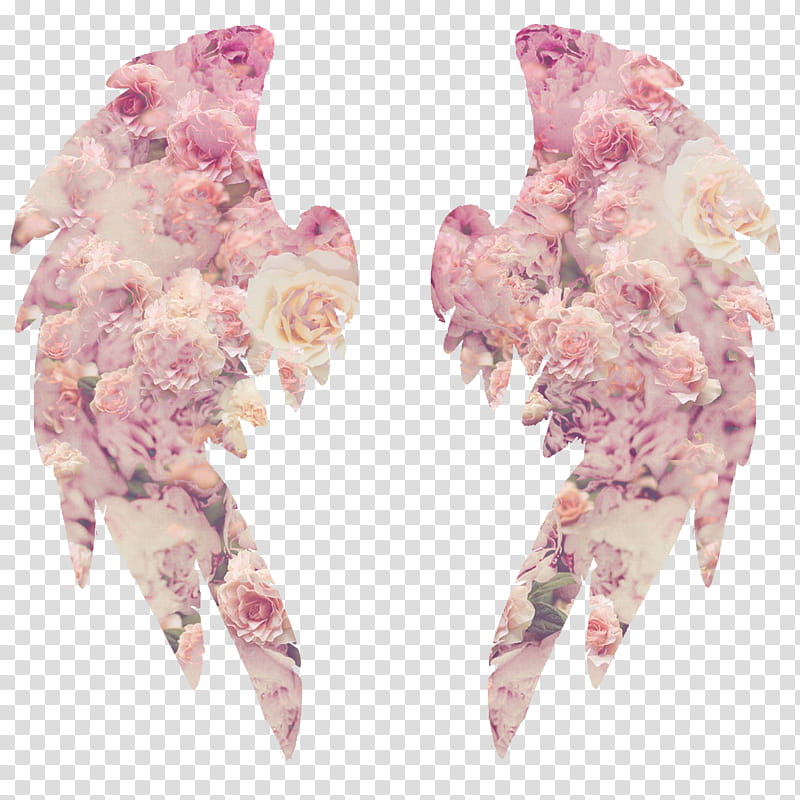 Rad s, pair of pink wings transparent background PNG clipart