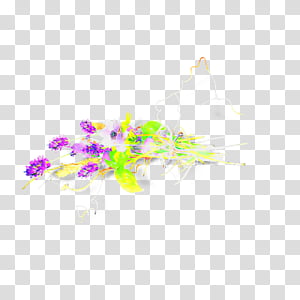 plant flower wildflower transparent background PNG clipart thumbnail