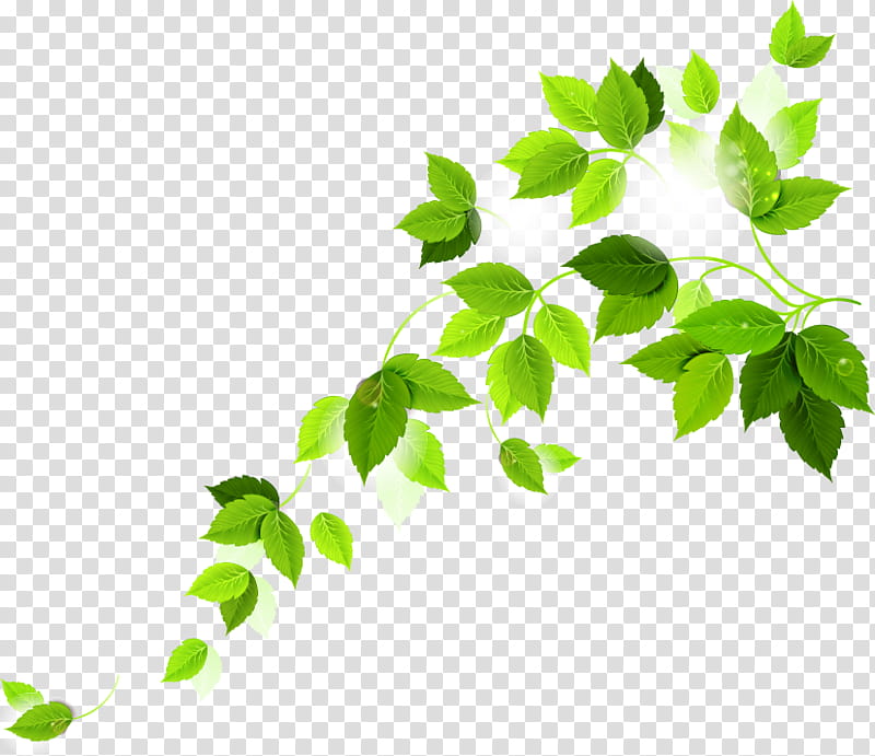 Green Grass, Car, Obdii Pids, Elm327, Leaf, Branch, Plant, Tree transparent background PNG clipart