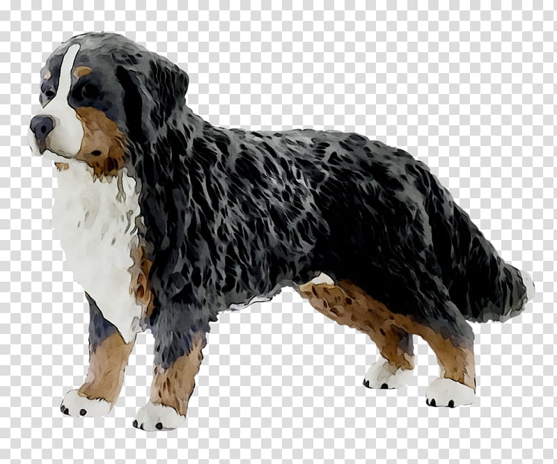 schleich bernese mountain dog