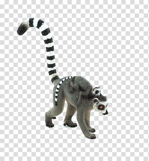 Animal, Lemurs, Ringtailed Lemur, Mongoose Lemur, Logo, Animal Figure, Figurine, Toy transparent background PNG clipart