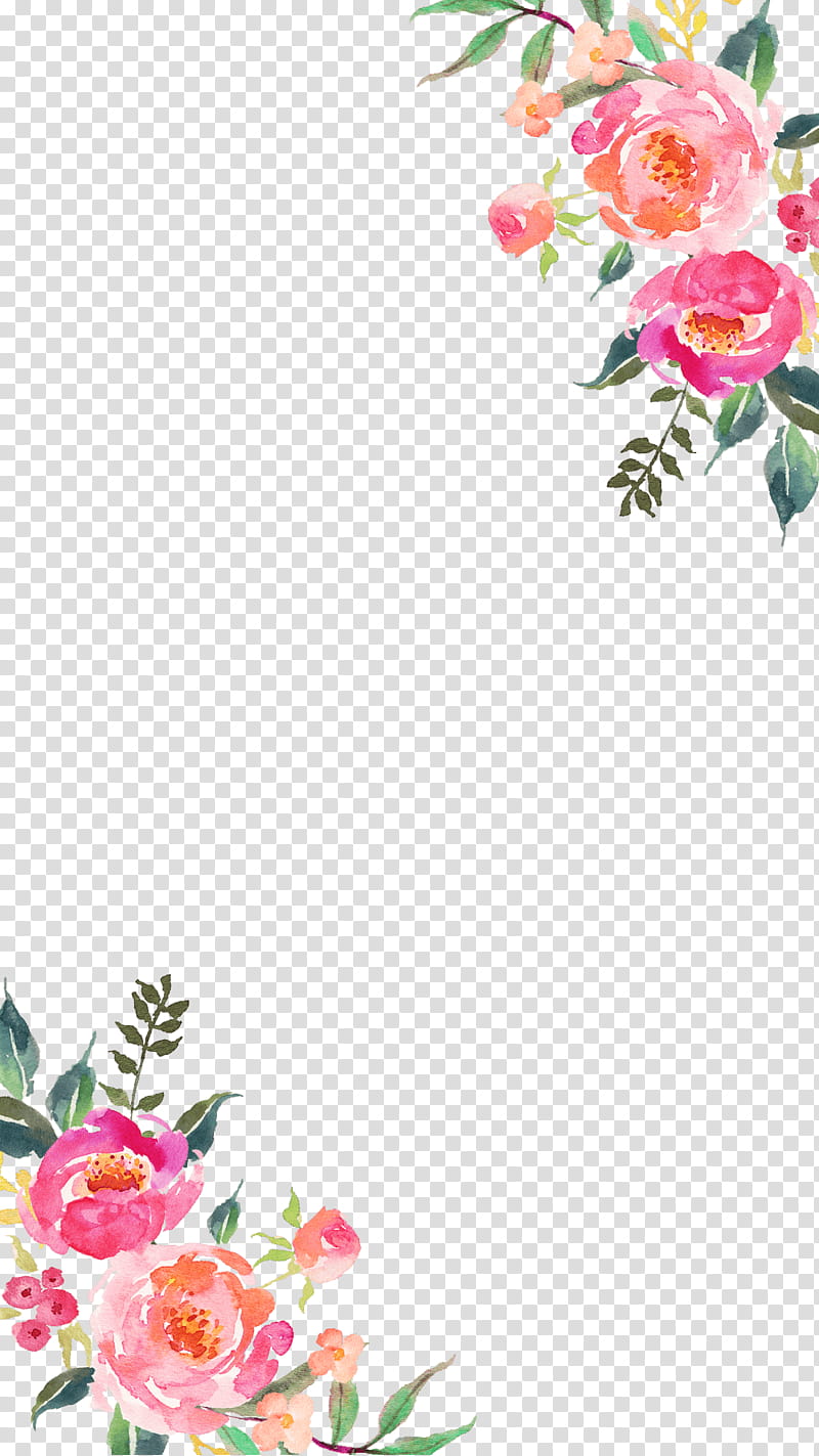 Floral Flower, Floral Design, Invitation, Baby Shower, Pink, Plant, Rose, Cut Flowers transparent background PNG clipart