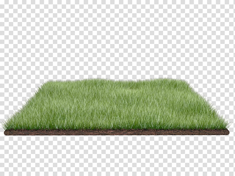 grass field, turf grass illustration transparent background PNG clipart