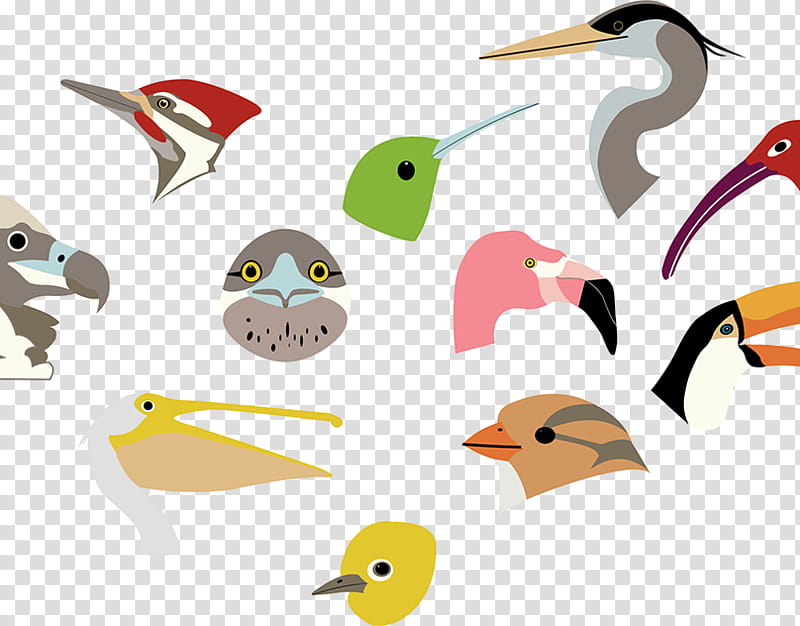 Watercolor Animal, Beak, Goose, Colorado, Swans, Tapir, Watercolor Painting, Water Bird transparent background PNG clipart