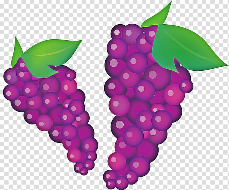 Pink Flower, Common Grape Vine, Wine, Grape Leaves, Fruit, Grape Juice, Food, Berries transparent background PNG clipart