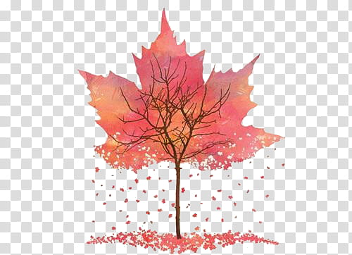 Super  , withered tree maple leaf transparent background PNG clipart