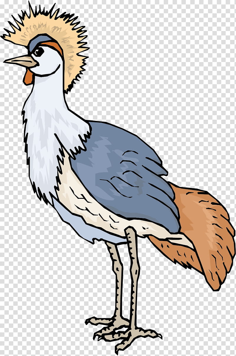 Crane Bird, Common Ostrich, Drawing, Animation, Red, Moa, Beak, Cranelike Bird transparent background PNG clipart