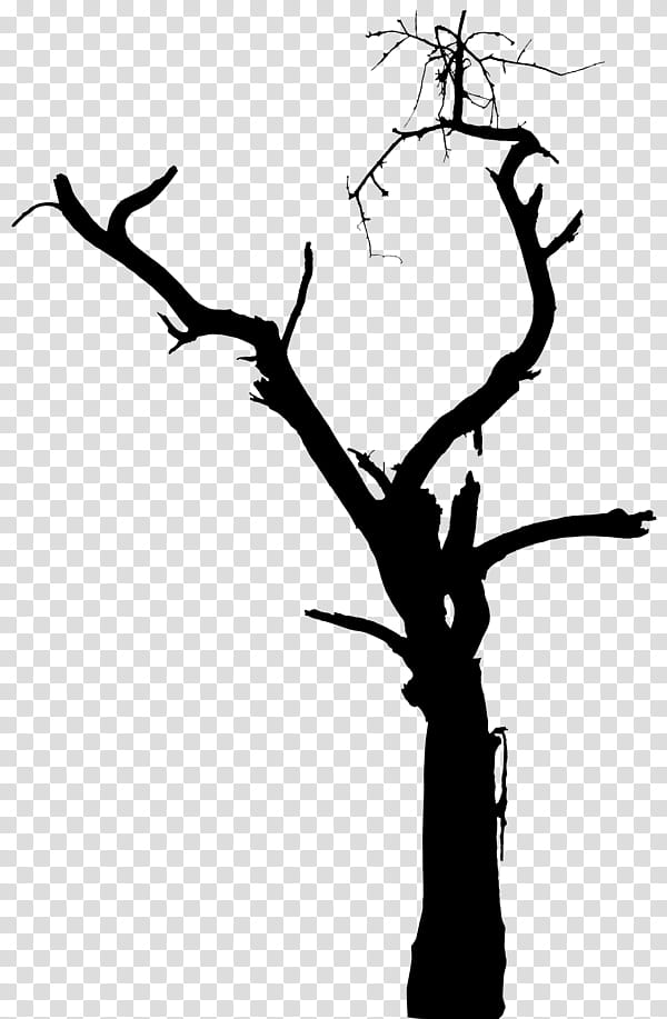 Halloween Tree Branch, Silhouette, Halloween , Bat, Castle, Number, Twig, Blackandwhite transparent background PNG clipart