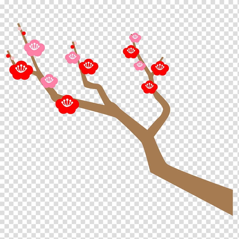 plum branch plum winter flower, Plant, Blossom transparent background PNG clipart