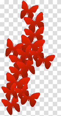 red butterflies transparent background PNG clipart