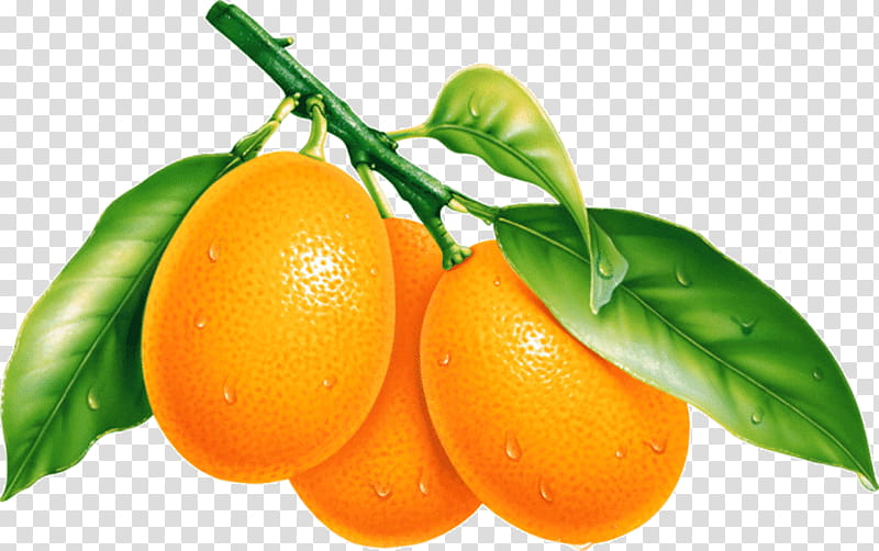 Cartoon Lemon, Kumquat, Orange, Juice, Fruit, Tangerine, Natural Foods, Plant transparent background PNG clipart