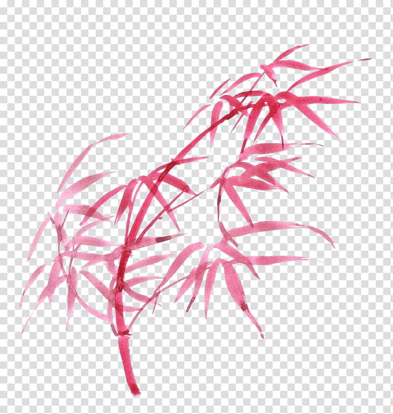 Tropical Leaf, Bamboo, Ink, Drawing, Tropical Woody Bamboos, Paint, Painting, Color transparent background PNG clipart