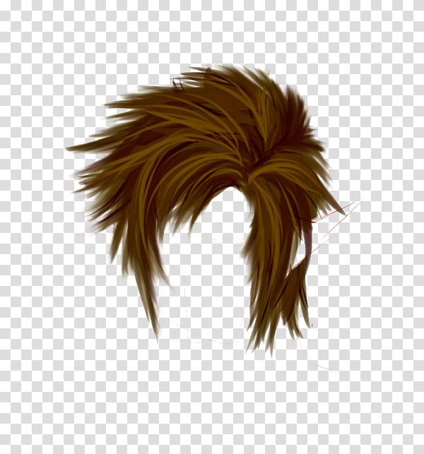 Boy, Hairstyle, Wig, Brown Hair, Man, Lace Wig, Long Hair, Hair Coloring transparent background PNG clipart