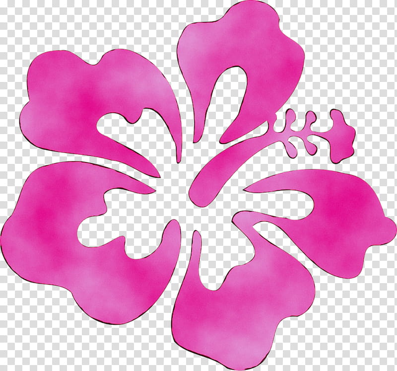 Summer Background Flowers, Petal, June, 2018, May, Newsletter, Association, Cut Flowers transparent background PNG clipart