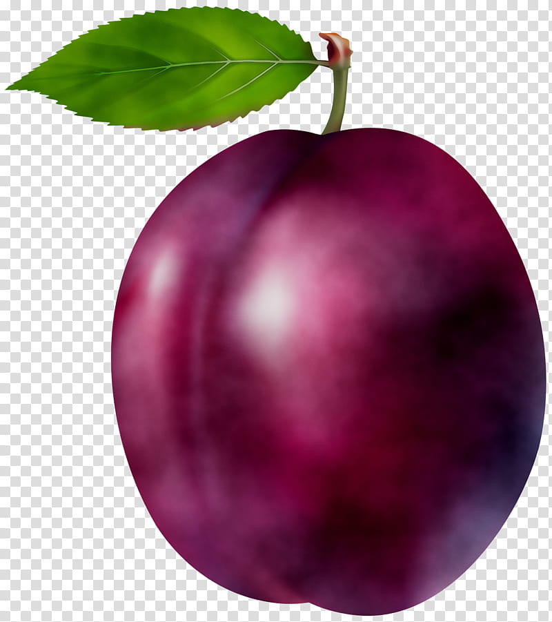 Apple Tree, Food, Accessory Fruit, Star Apple, Superfood, Purple, Natural Foods, Local Food transparent background PNG clipart